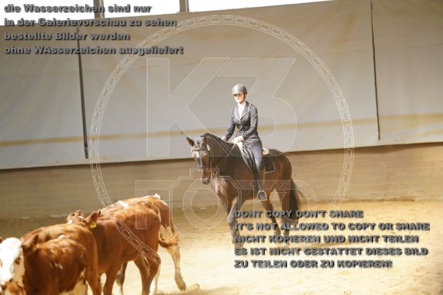 s_K3F02063.JPG